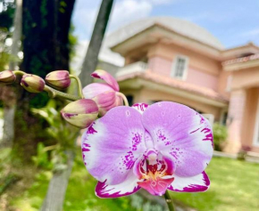 Flower House Villa